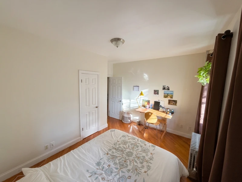 a room in Clinton Hill photo 5