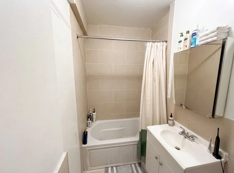 a room in Clinton Hill photo 5