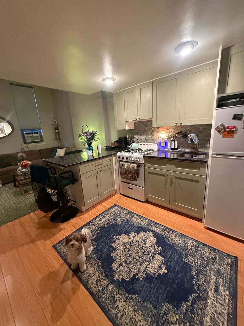 1 bedroom in Upper East Side photo 3
