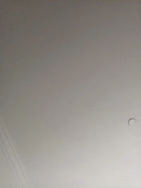 viewer