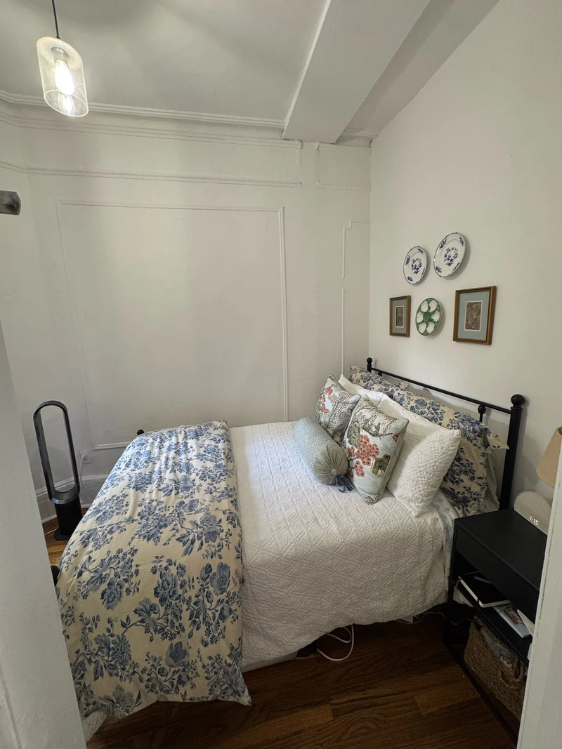 private room in East Village photo 4