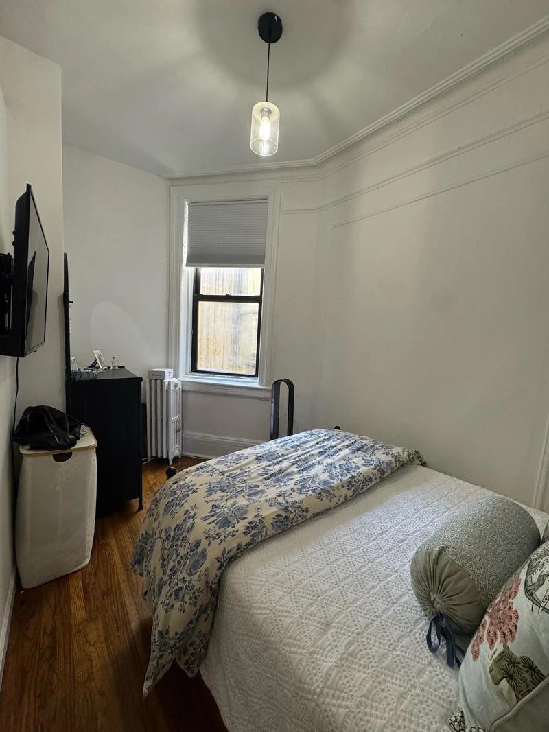 private room in East Village photo 5