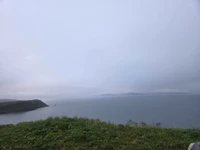 viewer