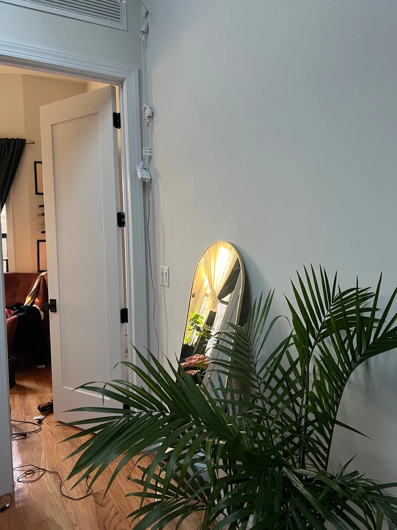 private room in Bushwick photo 3
