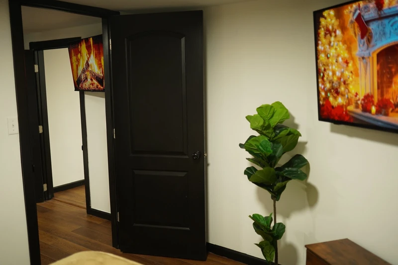 2 bedroom in Jamaica photo 3