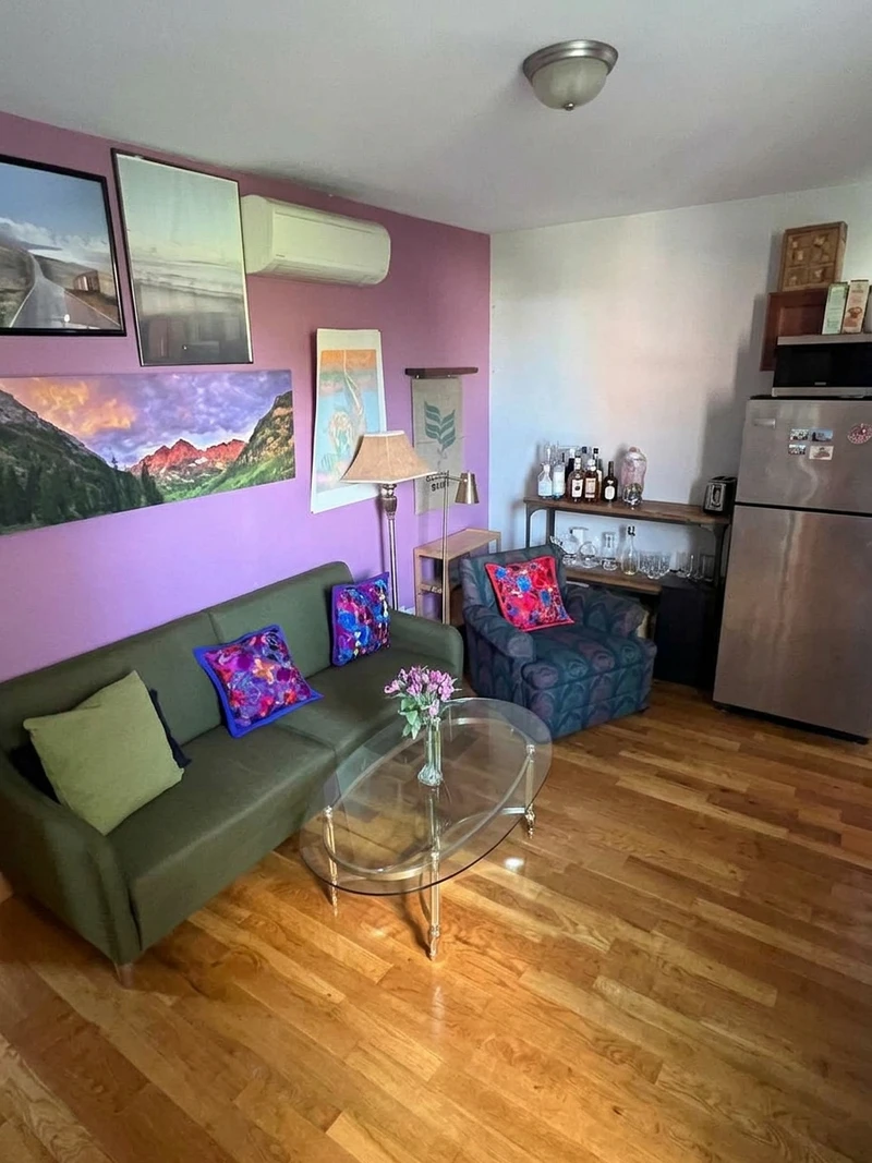 private room in Bedford-Stuyvesant photo 2