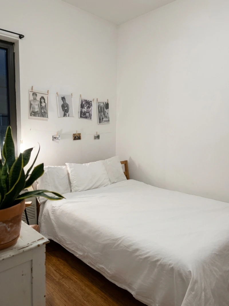 private room in Bedford-Stuyvesant photo 5