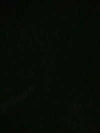 viewer
