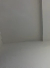 viewer