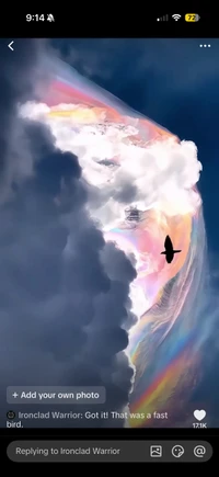 viewer