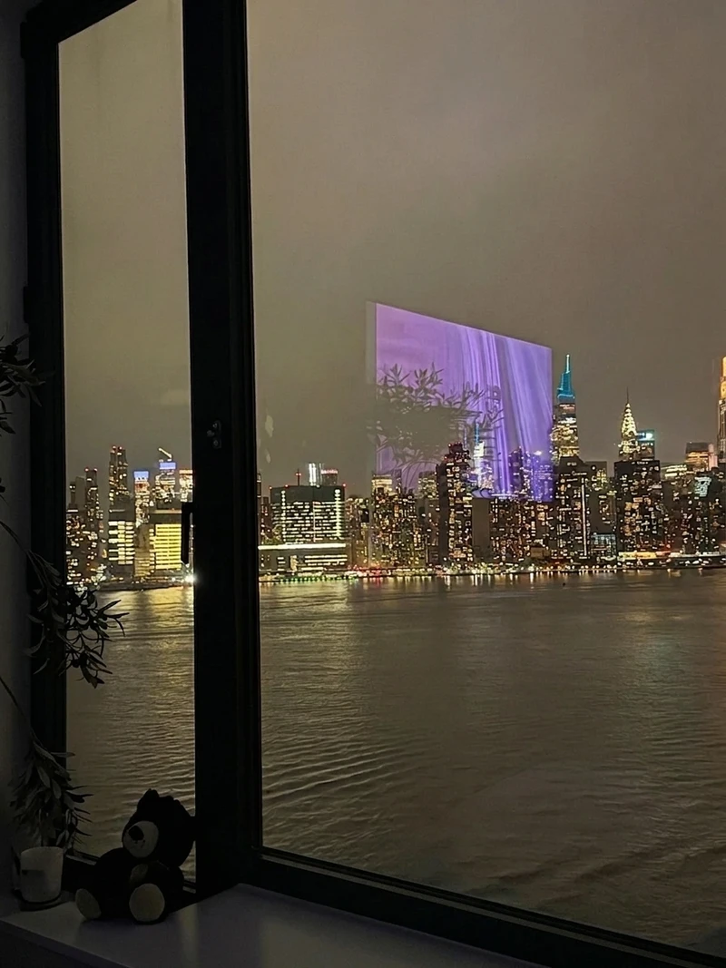 1 bedroom in Greenpoint photo 9