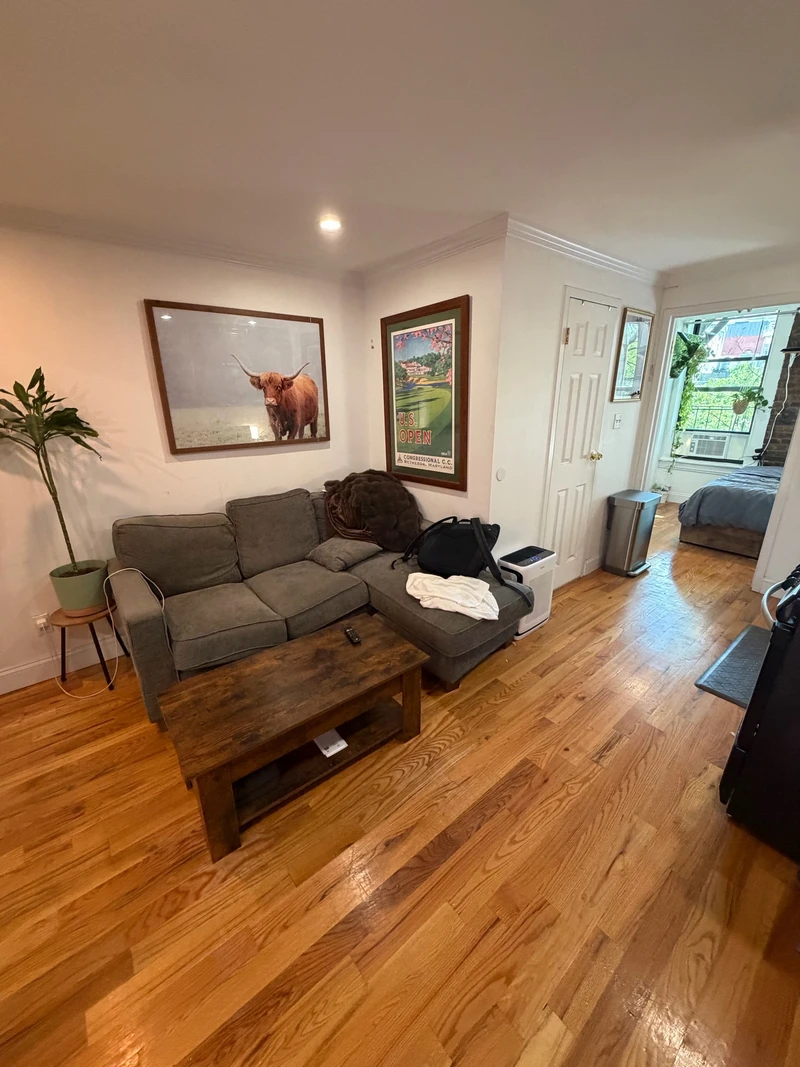 1 bedroom in East Village photo 2