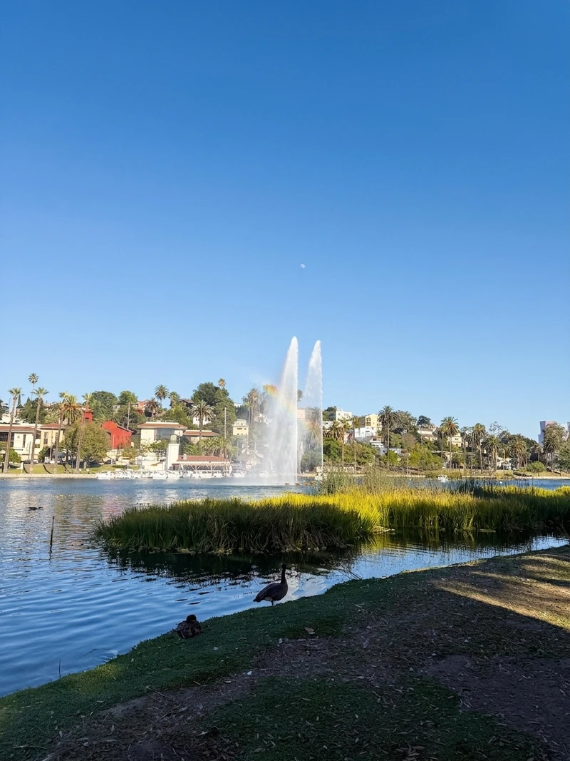 1 bedroom in Echo Park photo 8