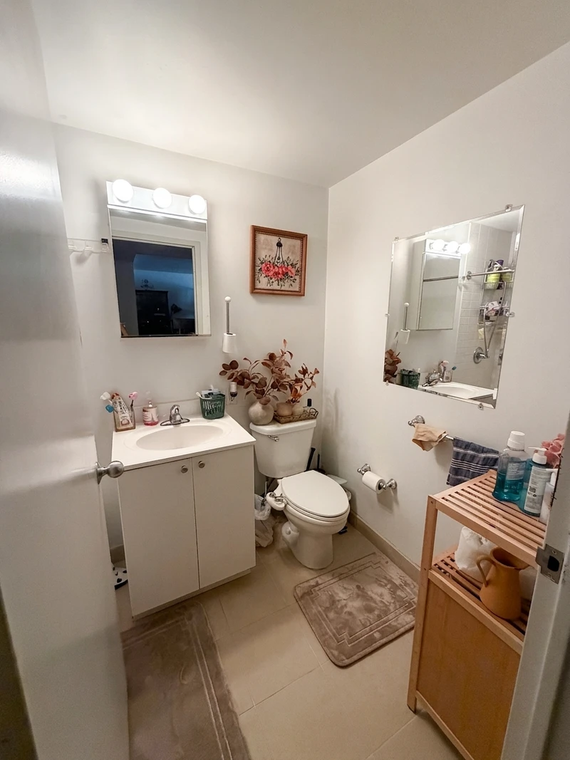 a room in Murray Hill photo 4