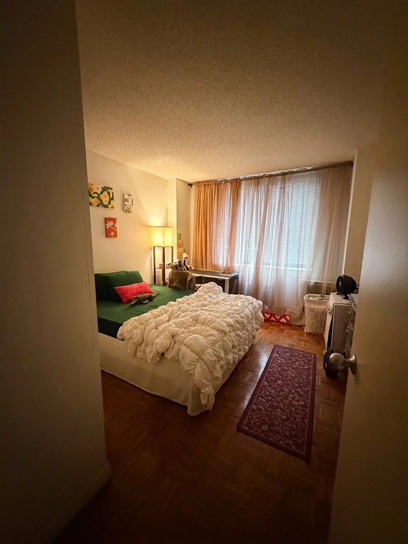 a room in Murray Hill photo 2