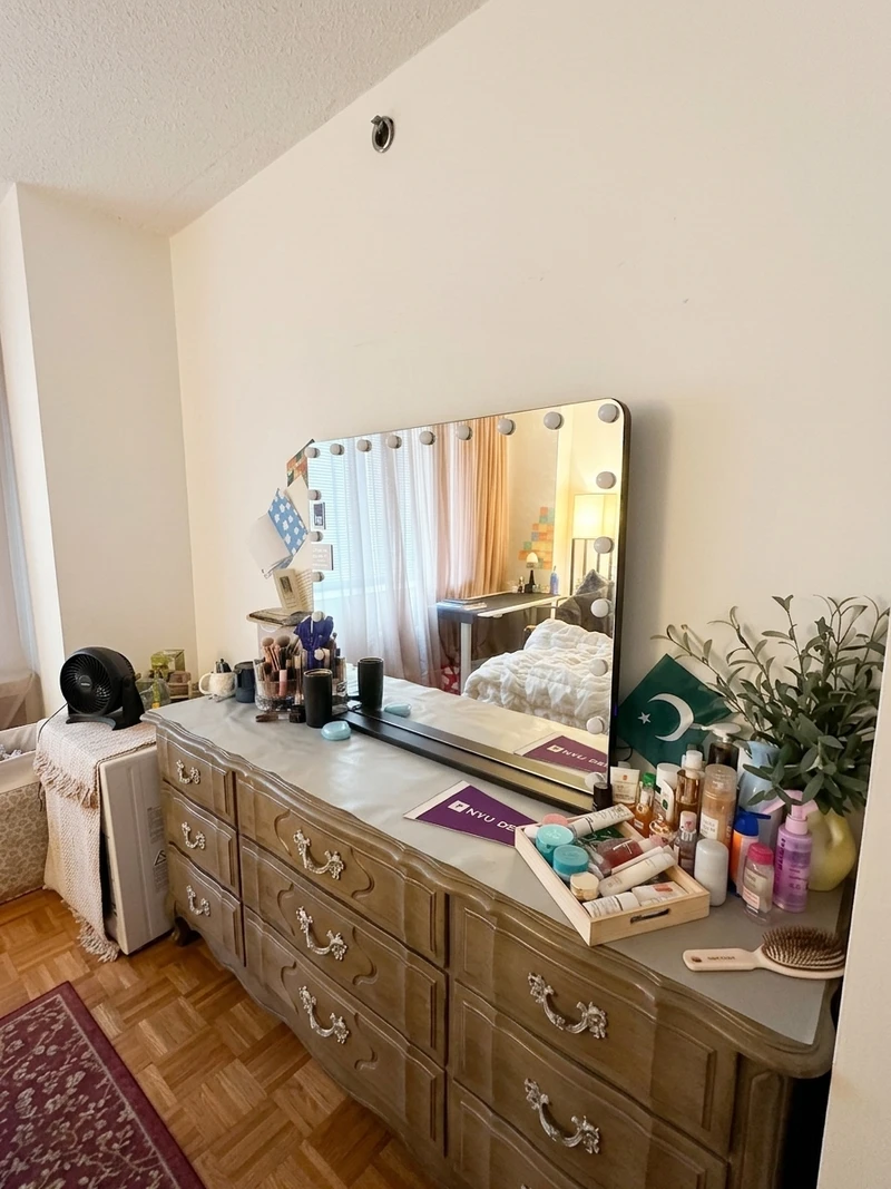 a room in Murray Hill photo 3