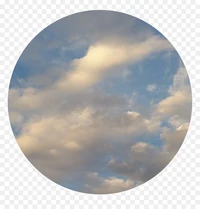 viewer