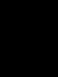 viewer