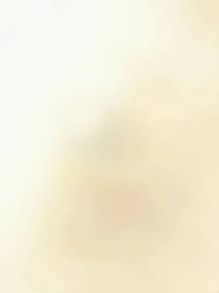 viewer