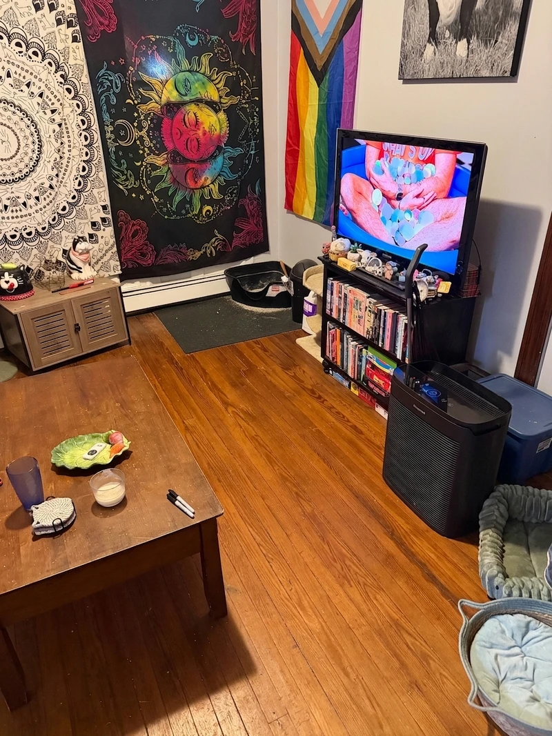 1 bedroom in Greenville photo 2