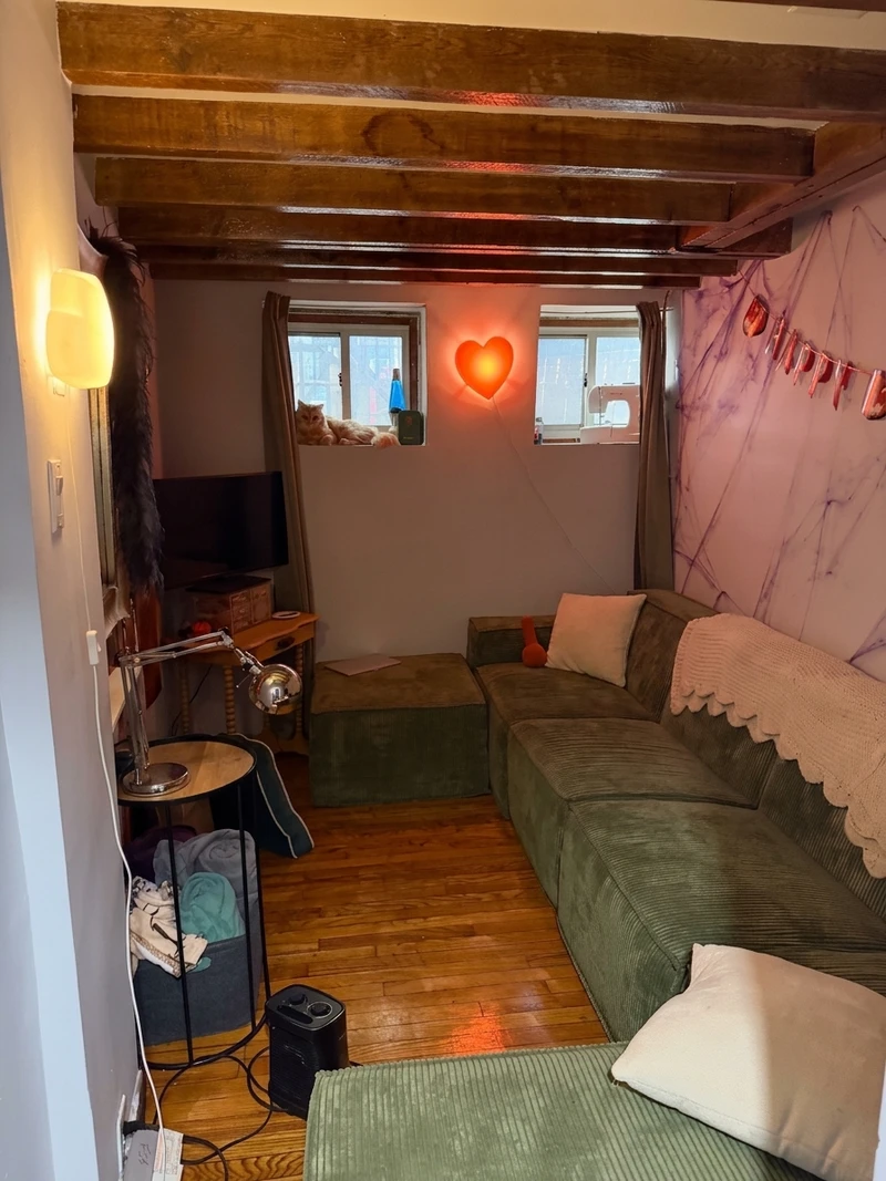 3+ bedroom in Bushwick photo 4