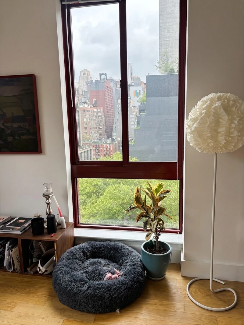 1 bedroom in Hudson Yards photo 3