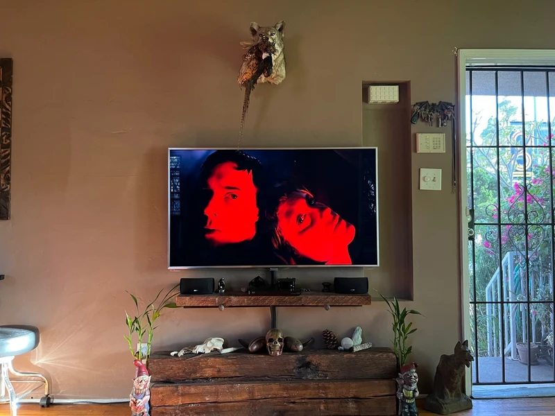 1 bedroom in Central LA photo 5