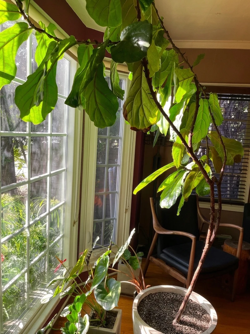 1 bedroom in Central LA photo 10