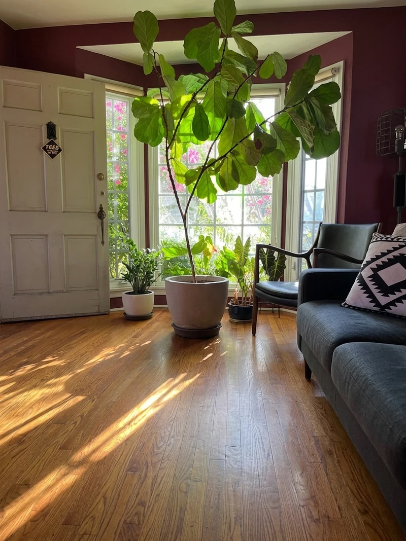 1 bedroom in Central LA photo 9