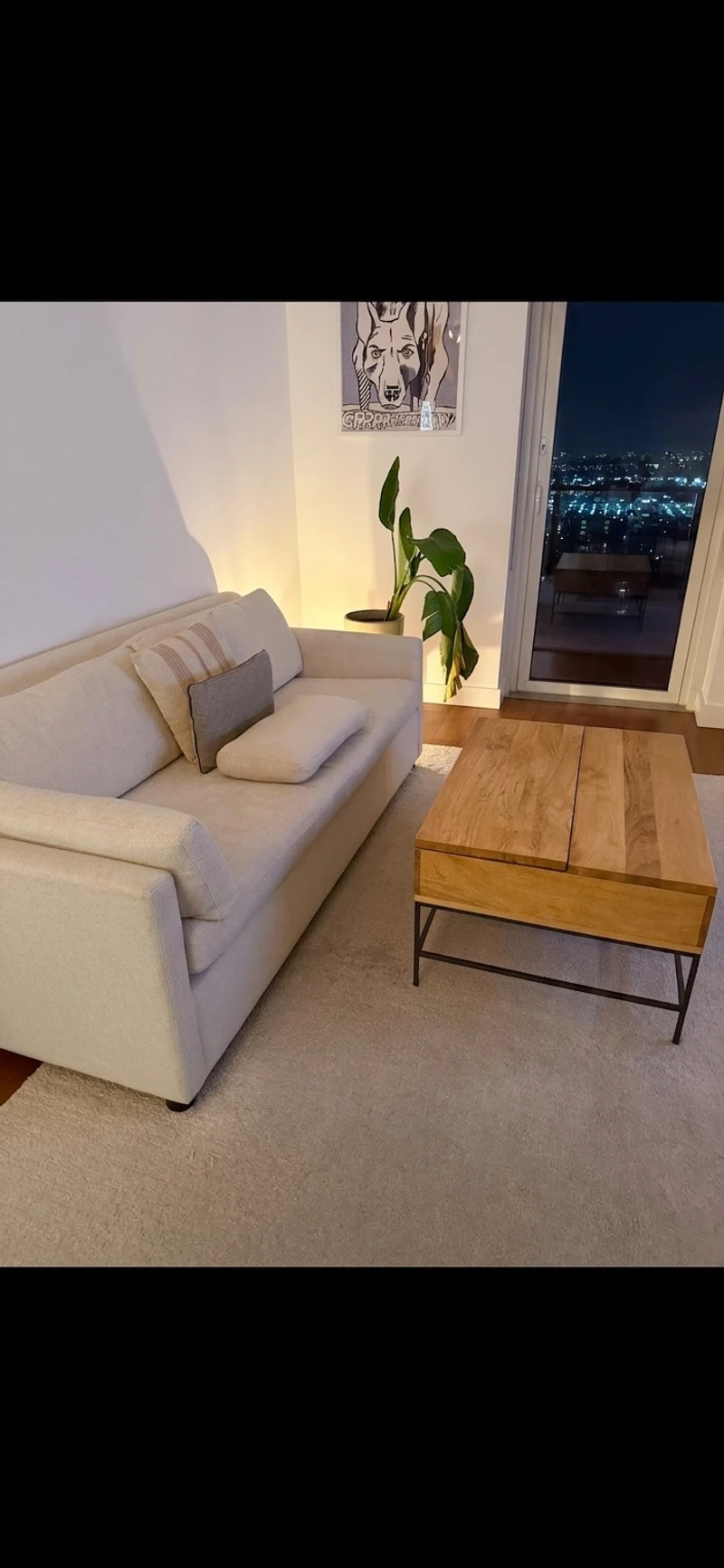 1 bedroom in Greenpoint photo 2
