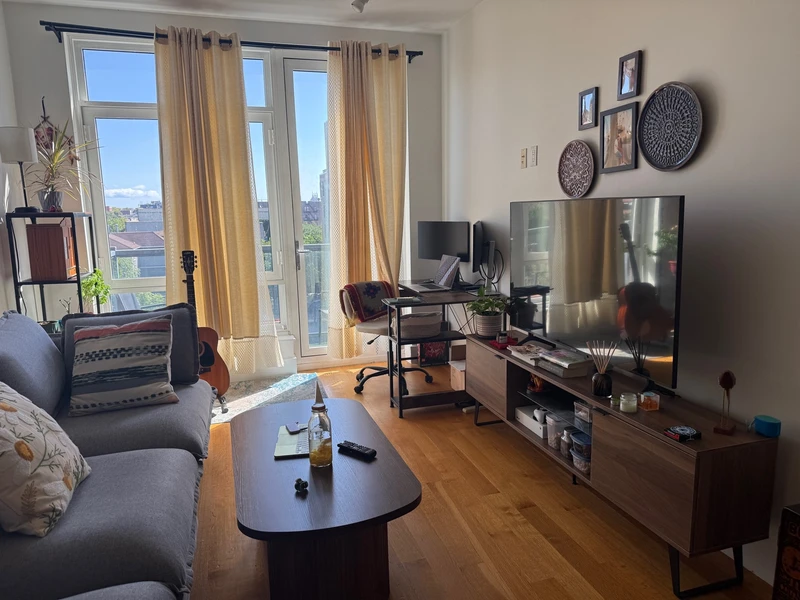 1 bedroom in Crown Heights photo 4