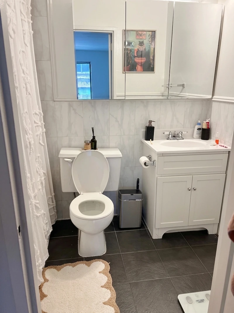 1 bedroom in hudson yards photo 5
