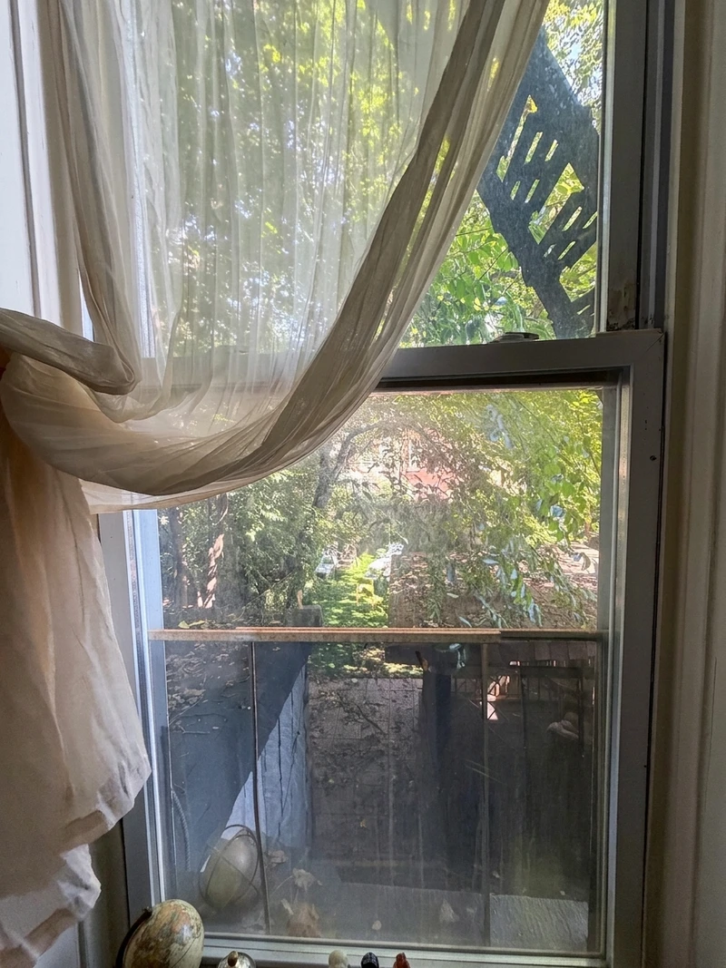 1 bedroom in Bedford-Stuyvesant photo 3