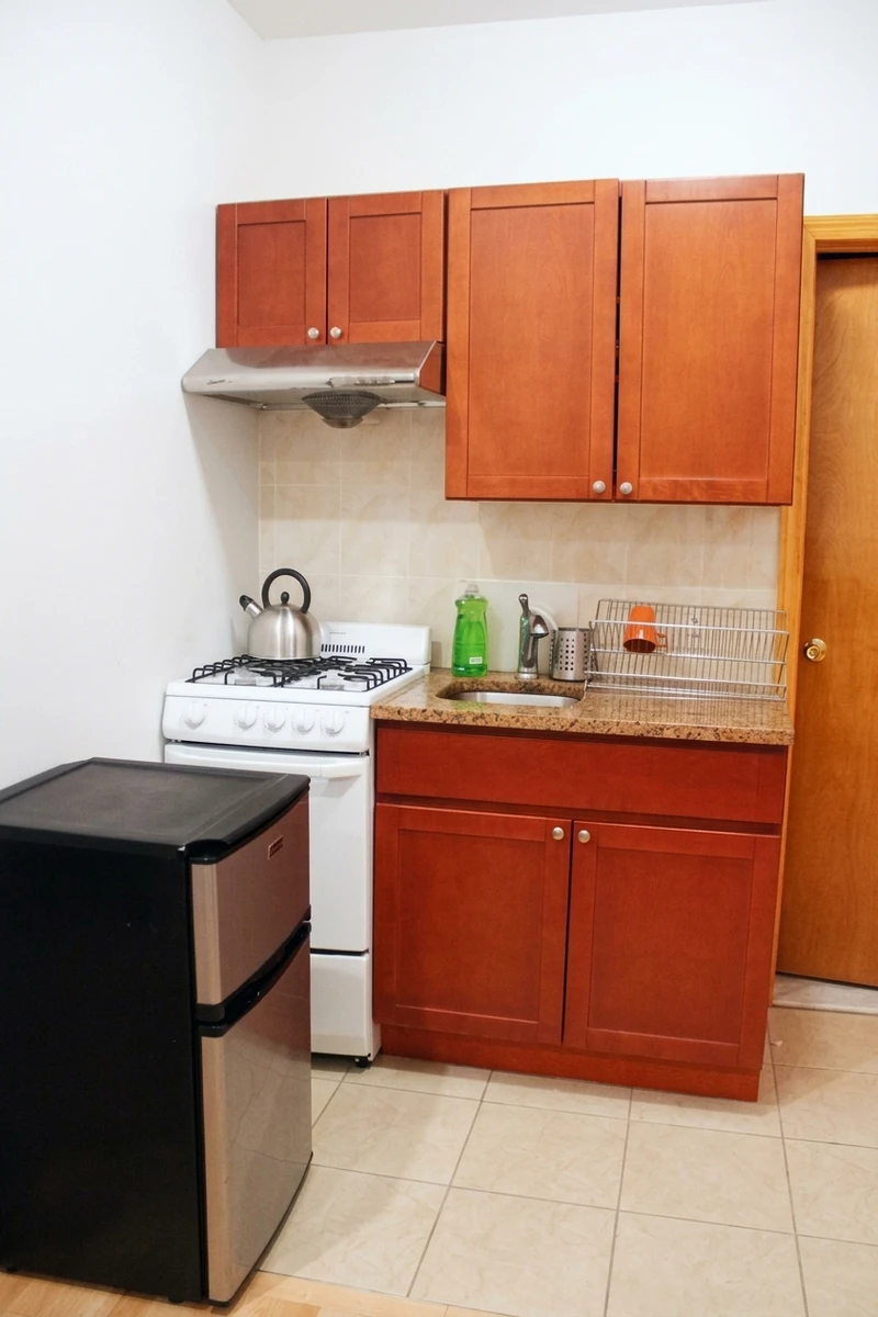 1 bedroom in Lower East Side photo 2