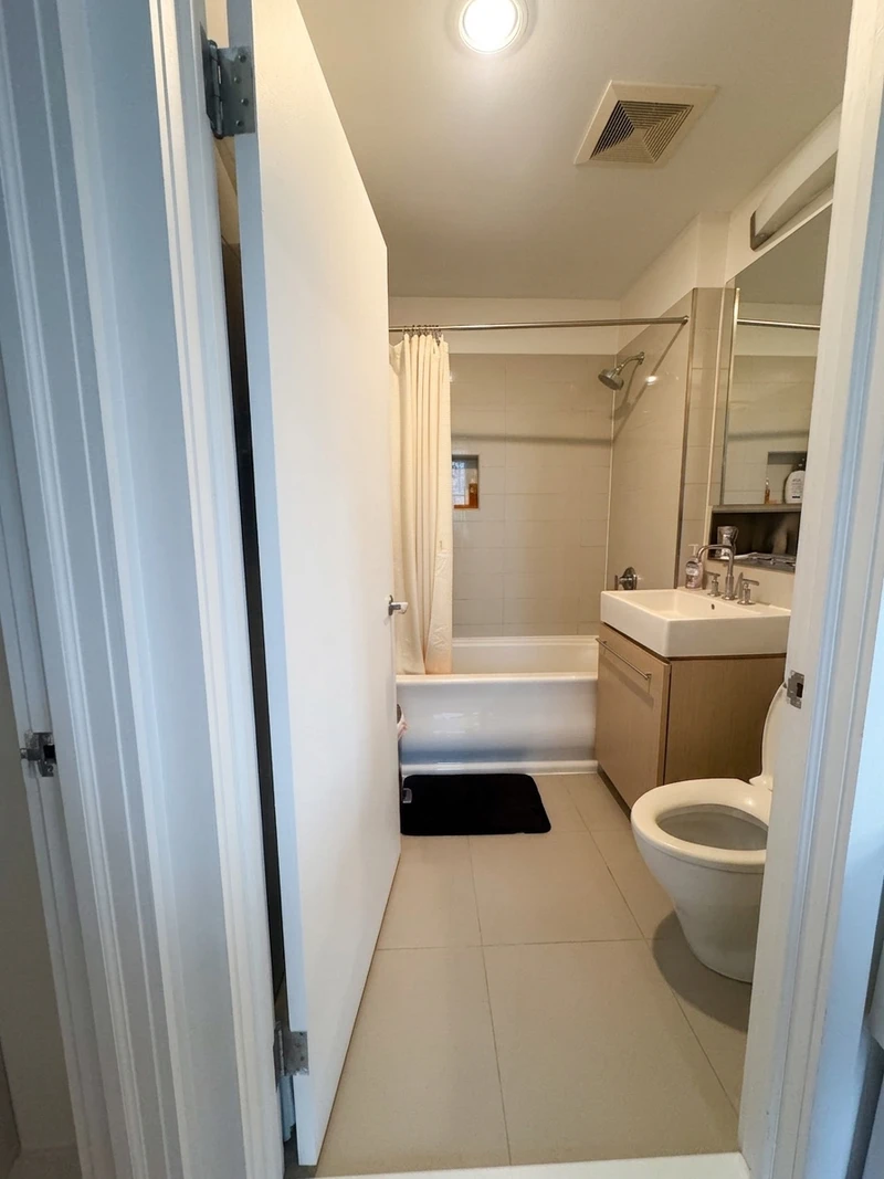 1 bedroom in Lower East Side photo 5