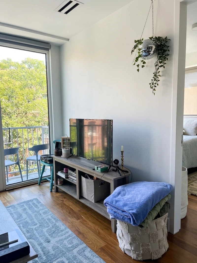 a room in Flatbush photo 6