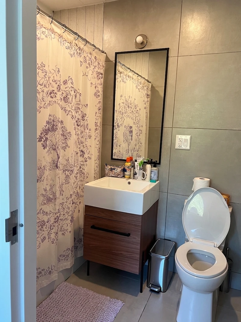 a room in Flatbush photo 4