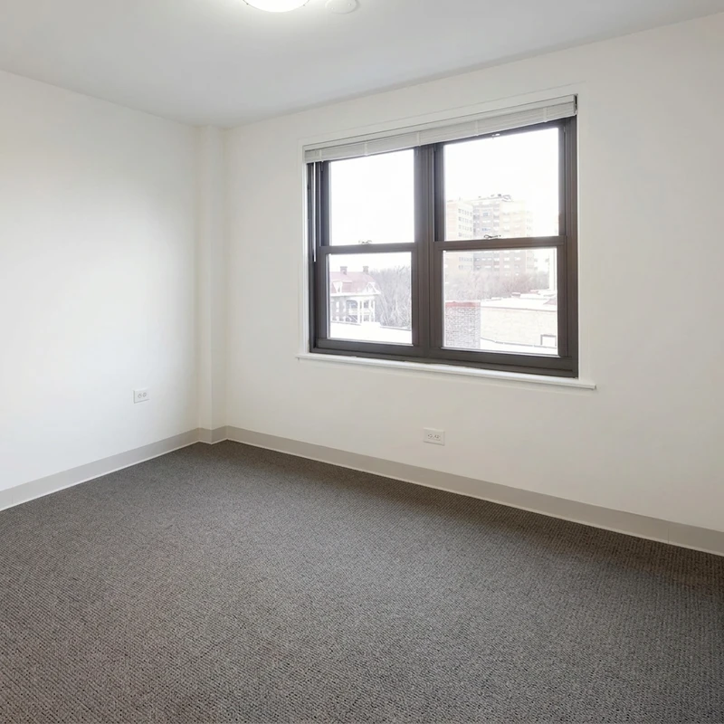 private room in Hyde Park photo 2