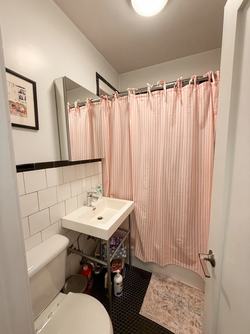 1 bedroom in west village photo 4