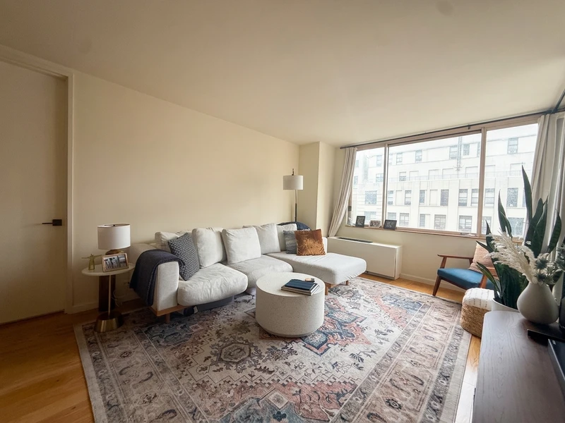 1 bedroom in Theater District photo 8