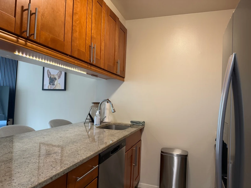 1 bedroom in Theater District photo 14