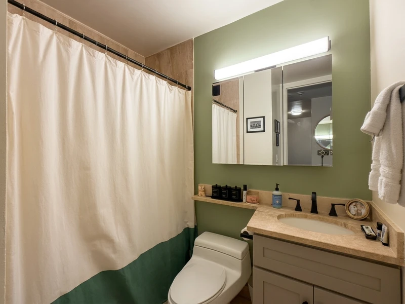 1 bedroom in Theater District photo 5
