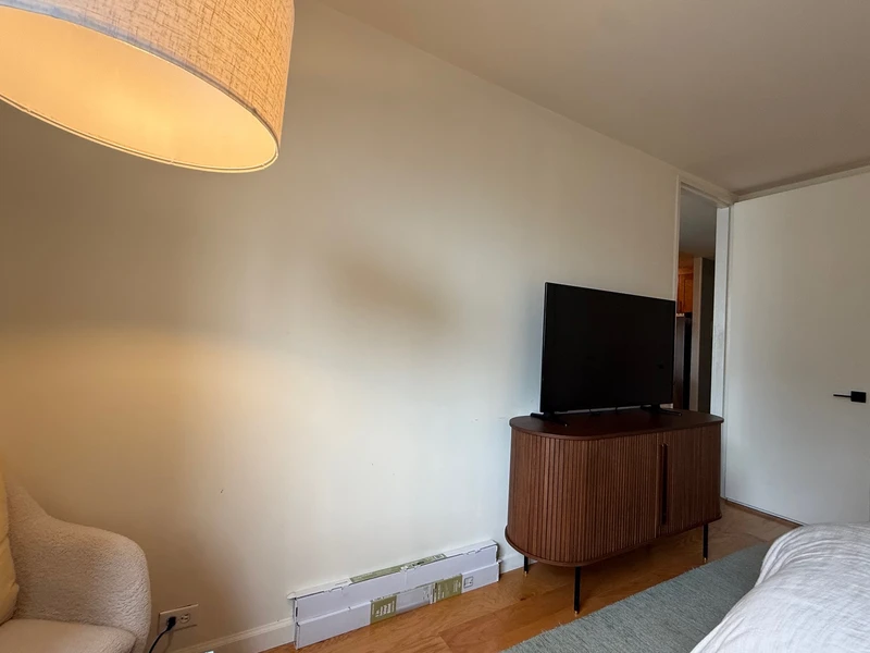 1 bedroom in Theater District photo 10