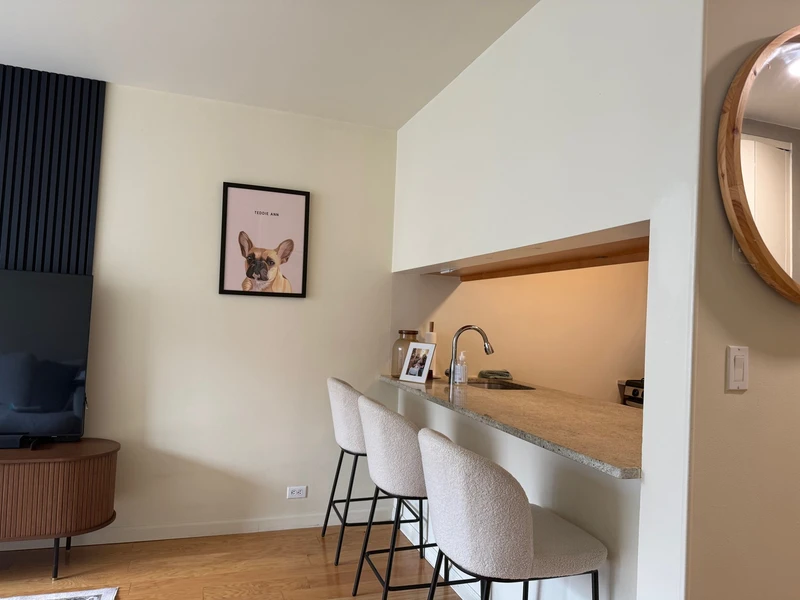 1 bedroom in Theater District photo 17