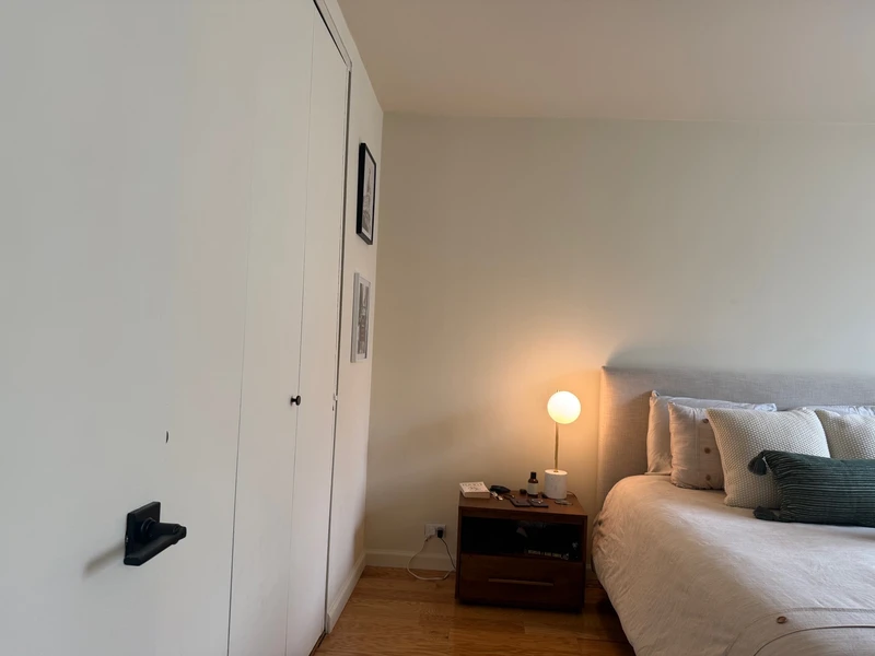 1 bedroom in Theater District photo 12
