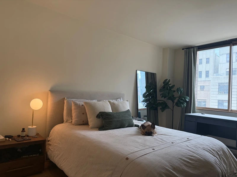1 bedroom in Theater District photo 13