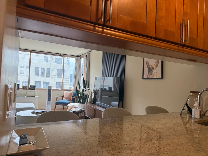 1 bedroom in Theater District photo 16