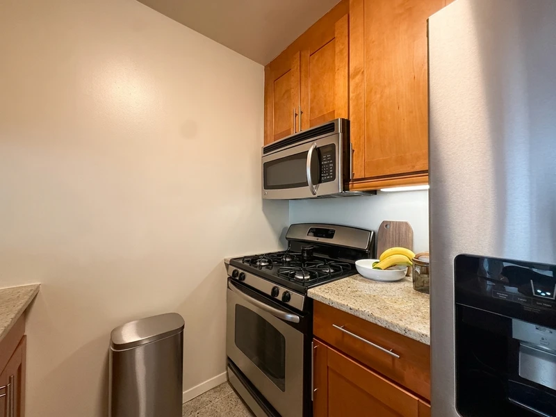 1 bedroom in Theater District photo 6