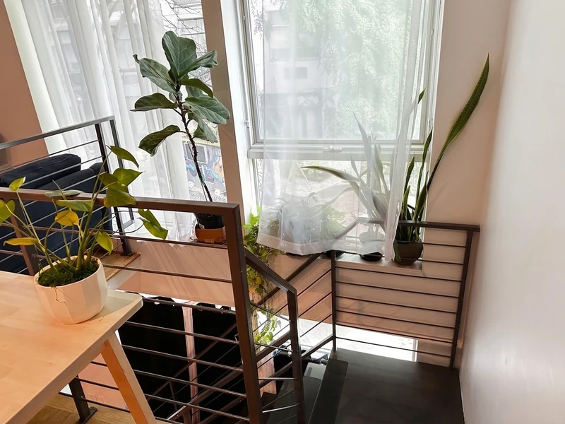 1 bedroom in Bushwick photo 5