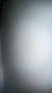 viewer